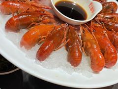 经典冰镇龙虾-红盔甲·小龙虾(人民广场店)
