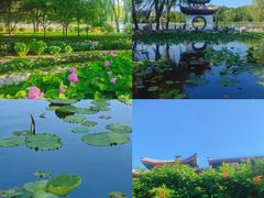 -陶然亭公园