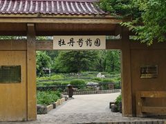 -黑龙江省森林植物园