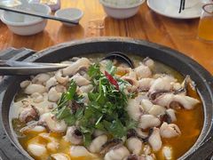 -大鼎石锅鱼(春江里店)