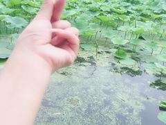 -库车王府