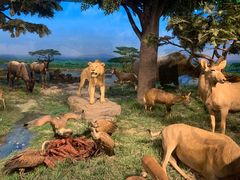 -国家自然博物馆