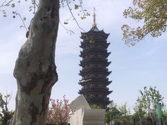 -葛仙湖公园