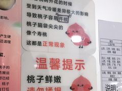 -老袁家蜜桃农场·阳山水蜜桃