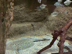 -香港海洋公园