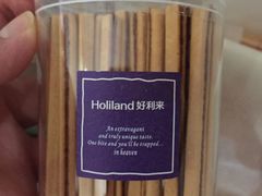 -蒲公英(五里店)