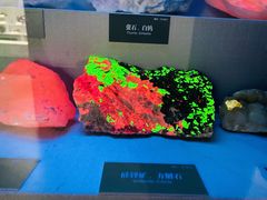 -湖南省地质博物馆