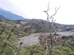 -朱雀国家森林公园