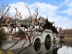 -上海海湾国家森林公园