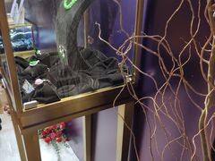 -上海东方佘山翰悦阁酒店·Vie全日制餐厅