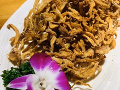 -觅山云南菜(泊富ICITY店)