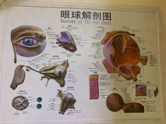 -大光明眼镜(锦华路旗舰店)