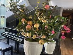 -茅庐·川粤精品私房菜(金沙遗址店)
