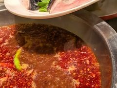 -蜀滋香鲜鱼美蛙火锅(339店)