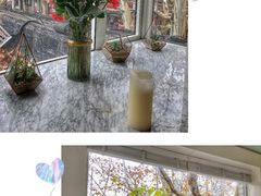 -蝶舍·MAISON PAPILLON