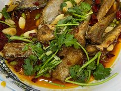 海杂鱼-八张桌子(老店)
