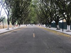 -东莞植物园