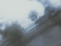 -上海月湖雕塑公园