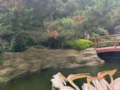 -大连老虎滩海洋公园