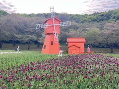 -苏州上方山国家森林公园