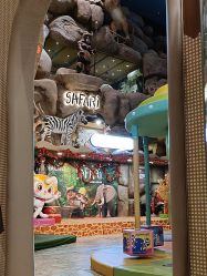 -卡通尼·Safari非洲探索乐园·生日会(金桥国际商业广场店)