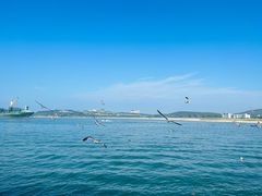 -海驴岛(荣成市)
