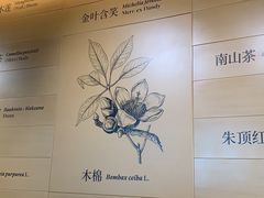 -云溪植物园