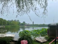 -西海子公园