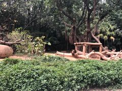 -珠海横琴长隆《卡卡虎奇遇记》