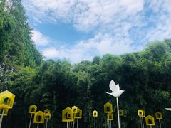 -同里国家湿地公园