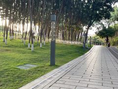 -红花山公园