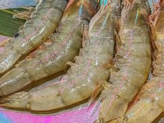 -燚青春东北泥炉烤肉(百合店)