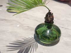 -陶兰居·手工点心·粤菜(圆融时代广场店)