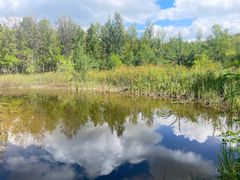 -野鸭湖国家湿地公园