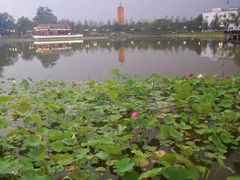 -西海子公园