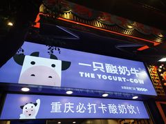 -一只酸奶牛(八一路店)