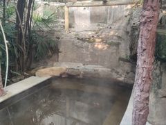 -天赐温泉