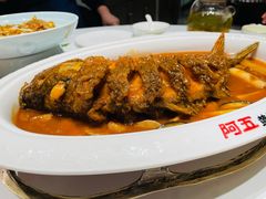 -阿五黄河大鲤鱼(海尚店)