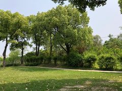 -大宁灵石公园西门票处