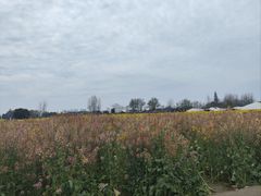 -中国天府农业博览园