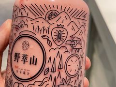 -野萃山·潮汕厚果汁(十亩地店)