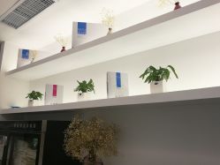 点击看大图 房间-妈妈时光机中医科技产后恢复中心(南山茂业百货店)
