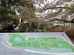-顾村公园