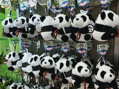-凯德MALL(望京店)