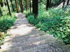 -罗田薄刀峰风景区