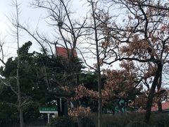 -公主楼