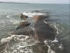 -日照灯塔风景区