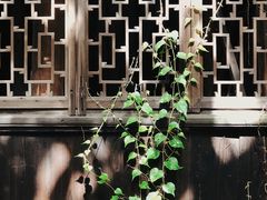 -书隐楼