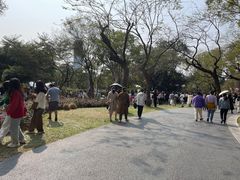 -人民公园(罗湖区)