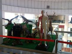 -内蒙古自治区国际蒙医医院(总院)